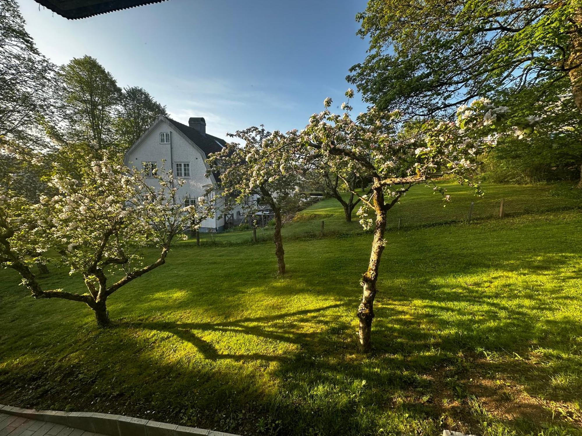 Luxurious 2-Room Apartment In Central Borås Exterior photo